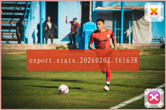export_stats_20260202_161638