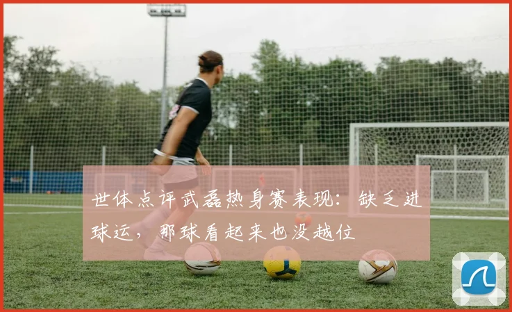 世体点评武磊热身赛表现：缺乏进球运，那球看起来也没越位