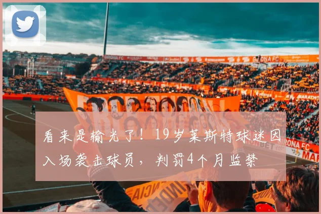 看来是输光了！19岁莱斯特球迷因入场袭击球员，判罚4个月监禁